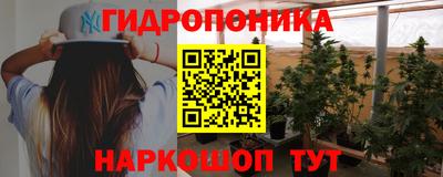 спиды Кимры