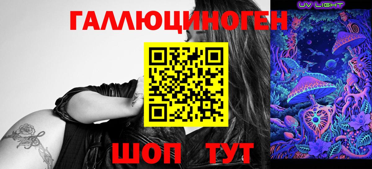 магазин продажи наркотиков  Галлюциногенные грибы GOLDEN TEACHER  Вход с VPN  Урус-Мартан 