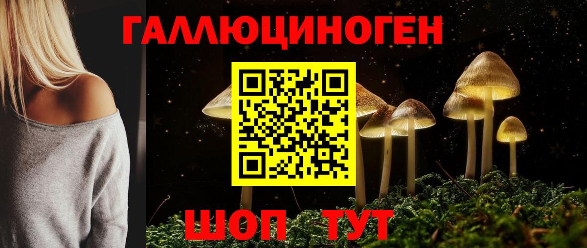 Псилоцибиновые грибы мицелий Урус-Мартан